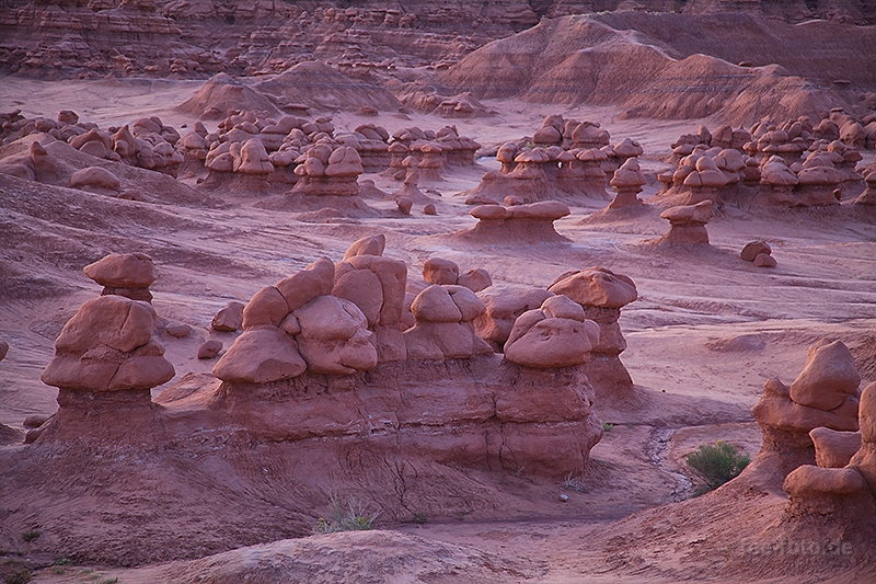 Ein Goblin spitzelt frech aus der Reihe